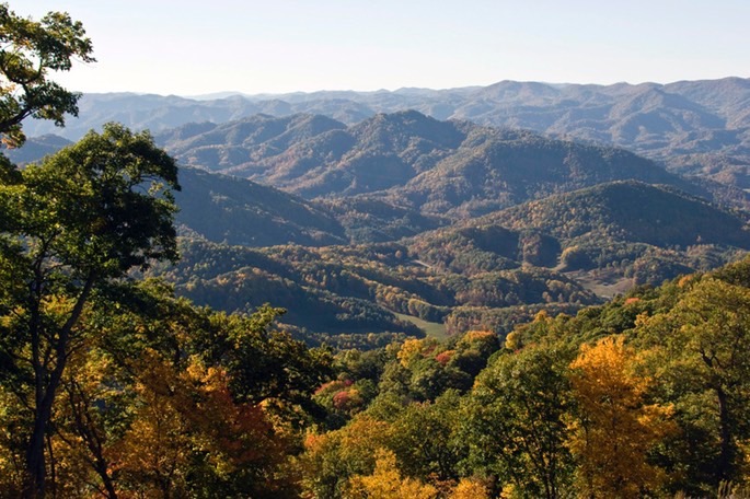 mountain-fall-leaves med med hr